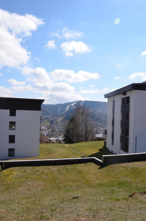 Gîte les Dryades Gérardmer Extérieur photo