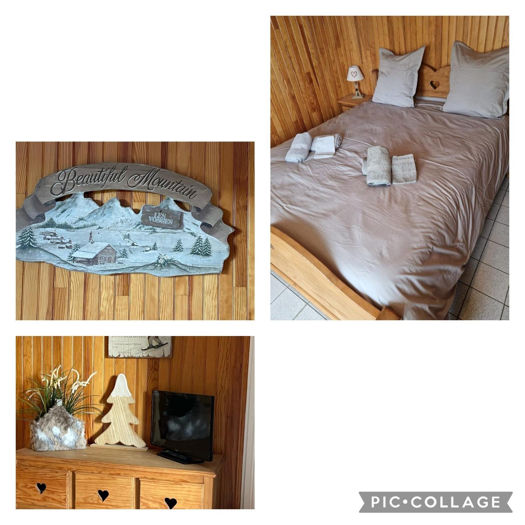 Gîte les Dryades Gérardmer Extérieur photo